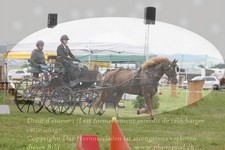 ref. photo 3279182