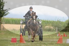 ref. photo 3279184