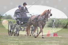 ref. photo 3279196