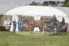 ref. photo 3279246