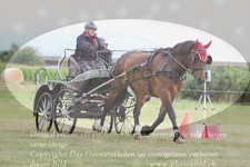 ref. photo 3279250