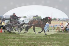 ref. photo 3279251