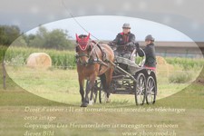 ref. photo 3279265