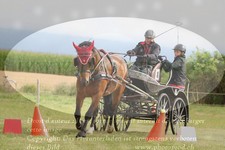 ref. photo 3279271