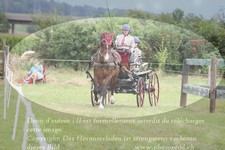 ref. photo 3279297