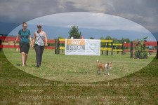ref. photo 3279332