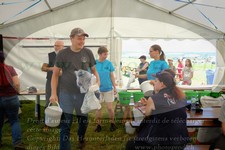 ref. photo 3279340