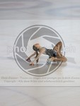 ref. photo 3987728