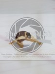 ref. photo 3988915