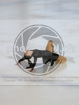 ref. photo 3991102