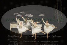 ref. photo 3184570