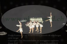 ref. photo 3184610