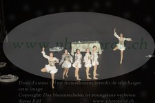 ref. photo 3184611