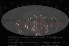 ref. photo 3185041