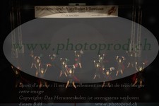ref. photo 3185046