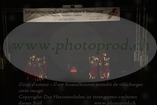 ref. photo 3185063
