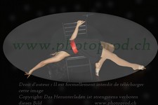 ref. photo 3185204