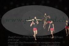 ref. photo 3185232