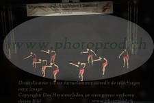ref. photo 3185238