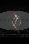 ref. photo 3185272