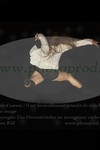 ref. photo 3186140