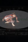 ref. photo 3186202