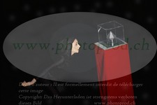ref. photo 3186464