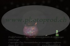 ref. photo 3186626