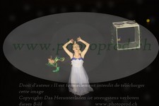 ref. photo 3187497
