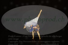 ref. photo 3187504