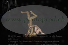 ref. photo 3187589