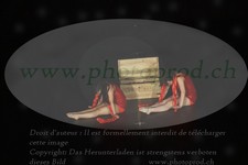 ref. photo 3187734