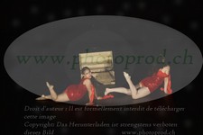 ref. photo 3187736