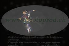 ref. photo 3188050