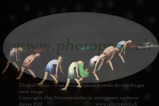ref. photo 3188355