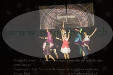ref. photo 3188458