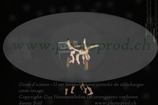ref. photo 3188688