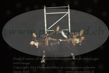 ref. photo 3188760