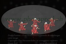 ref. photo 3188904