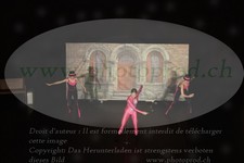 ref. photo 3189134