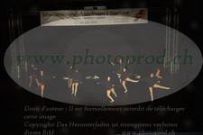 ref. photo 3189313