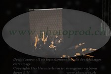 ref. photo 3189378