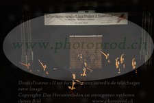 ref. photo 3189390