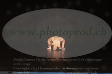 ref. photo 3210230