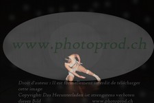 ref. photo 3210256