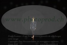 ref. photo 3210468
