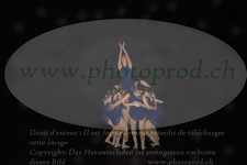 ref. photo 3210954