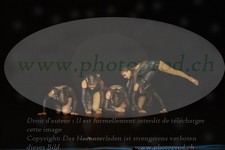 ref. photo 3211242