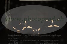 ref. photo 3211499