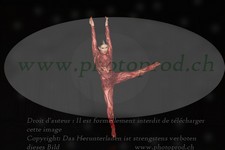 ref. photo 3211816